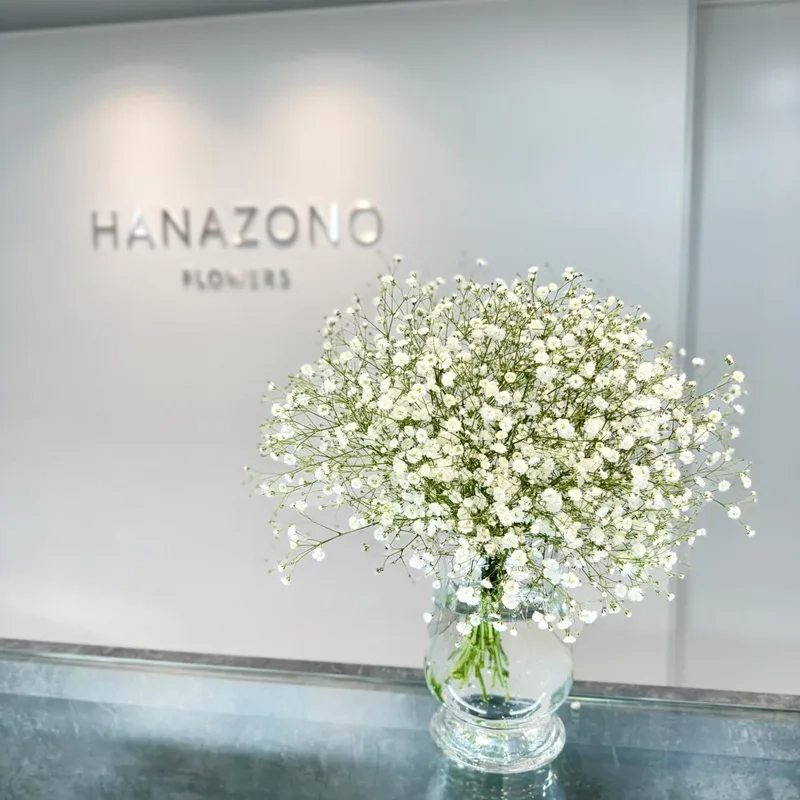 Nhẹ nhàng tinh tế với hoa baby nhẹ nhàng