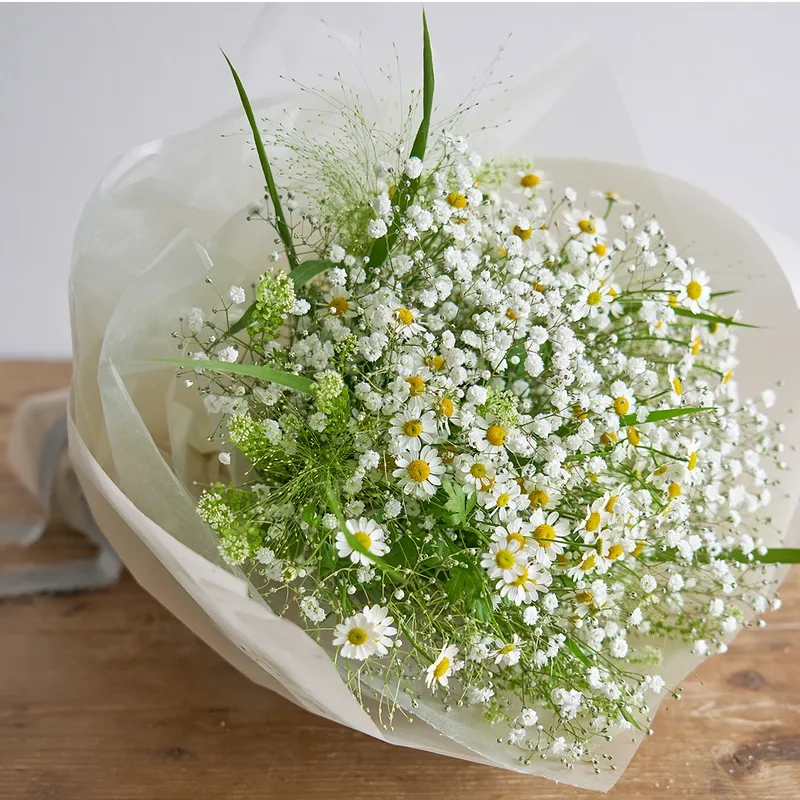 Chọn lựa tiết kiệm với hoa baby giá rẻ