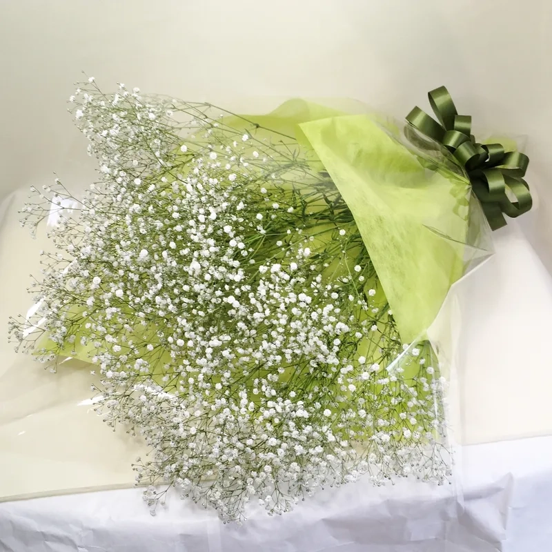 Nghệ thuật tự nhiên trong hoa baby nghệ thuật