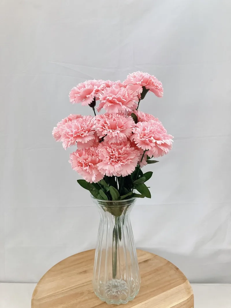 Tặng mẹ yêu thương bằng hoa cẩm chướng tặng mẹ