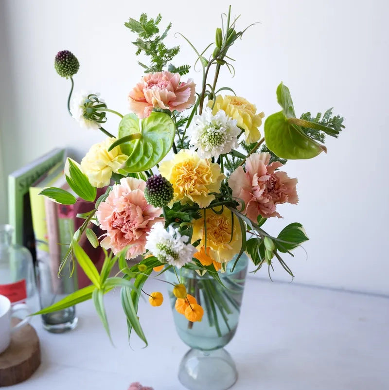 Lựa chọn hoàn hảo từ mẫu hoa cẩm chướng độc đáo