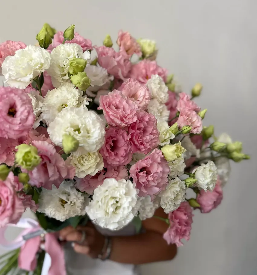 Hướng dẫn hoa cát tường cách trồng dễ chăm sóc tại nhà