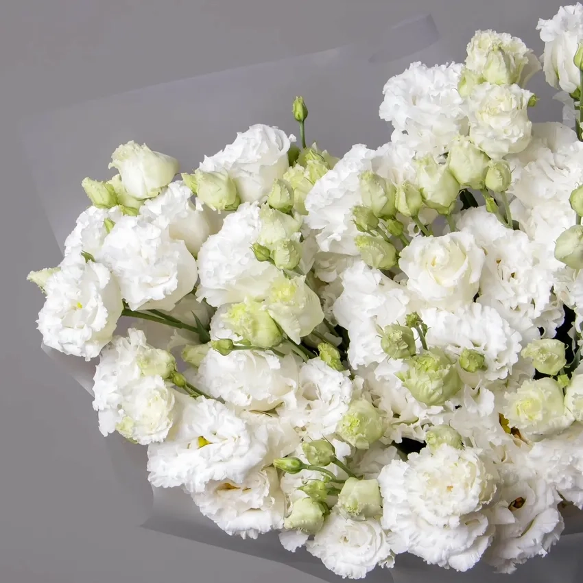 Hoa cát tường hợp mệnh gì mang tài lộc và may mắn cho gia chủ