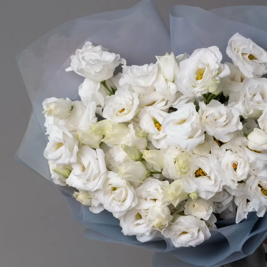 Trang trí hoa cát tường Tết rực rỡ đón một năm mới an lành