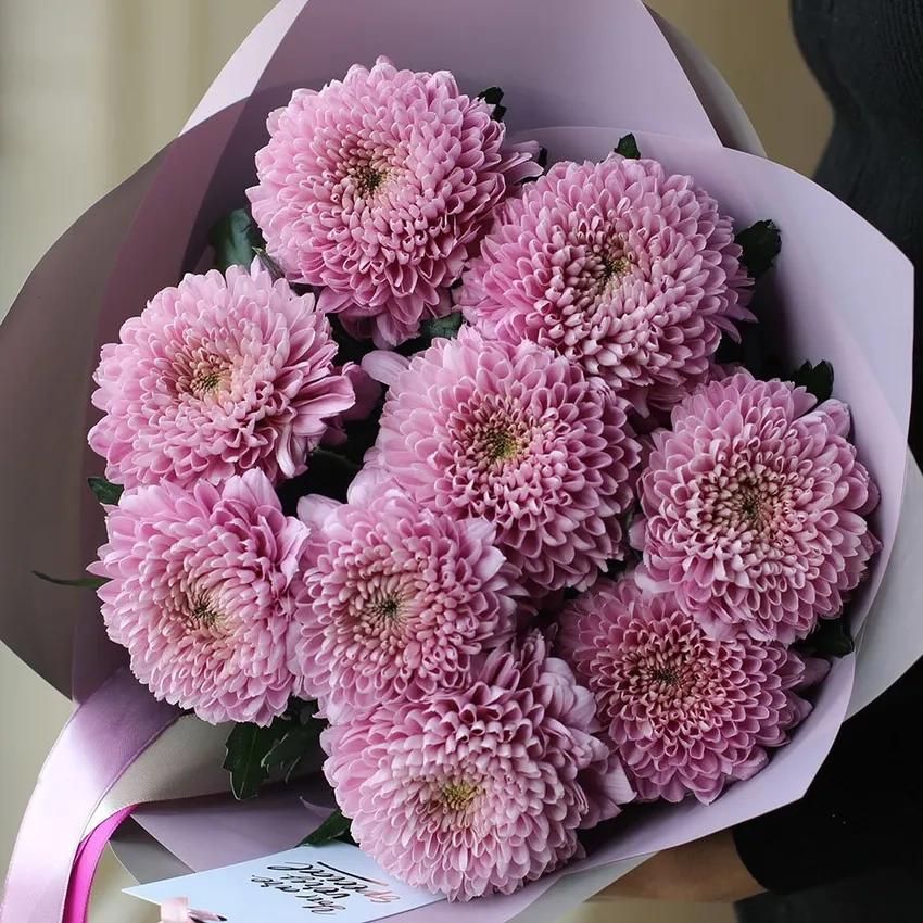 Hoa Cúc Đại Đóa phong thủy mang tài lộc và may mắn