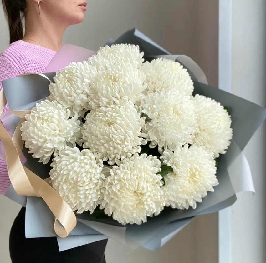 Hoa Cúc Đại Đóa nổi bật giữa vườn xuân đầy màu sắc