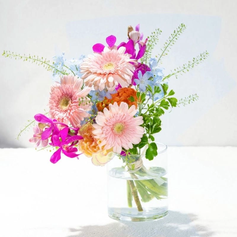 Hoa đồng tiền 4K sắc nét từng cánh hoa nhỏ