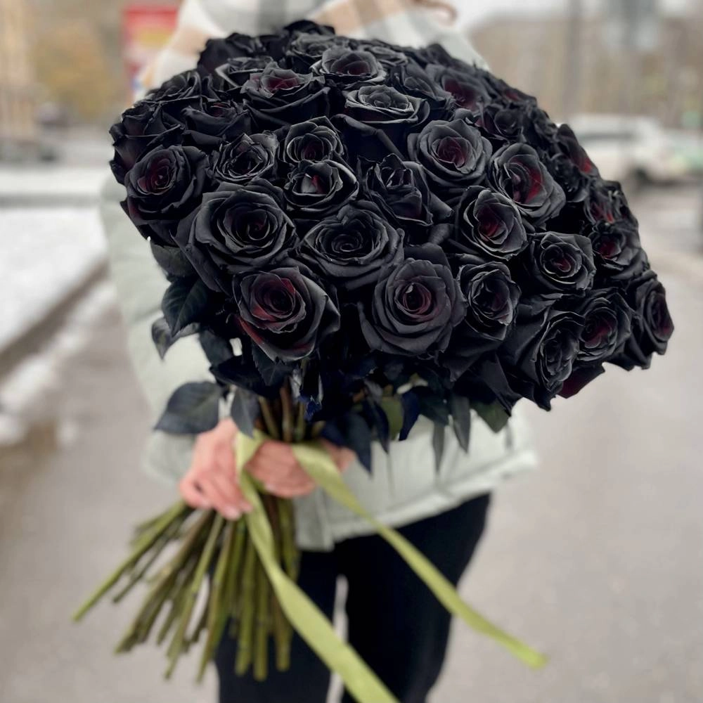 Ảnh hoa hồng đen đẹp mê mẩn ánh nhìn đầu tiên