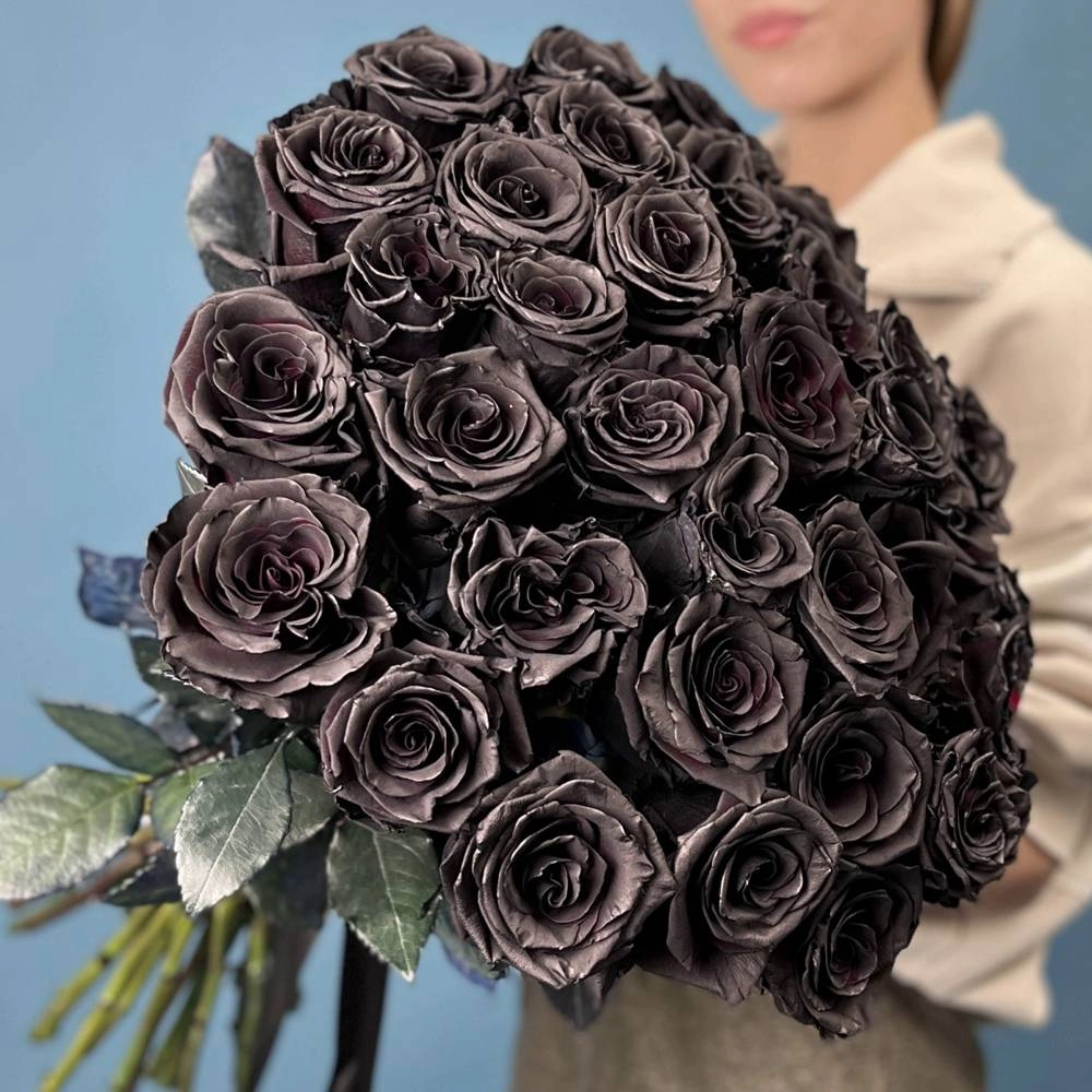 Hoa hồng đen chất lượng giúp khung hình thêm cuốn hút