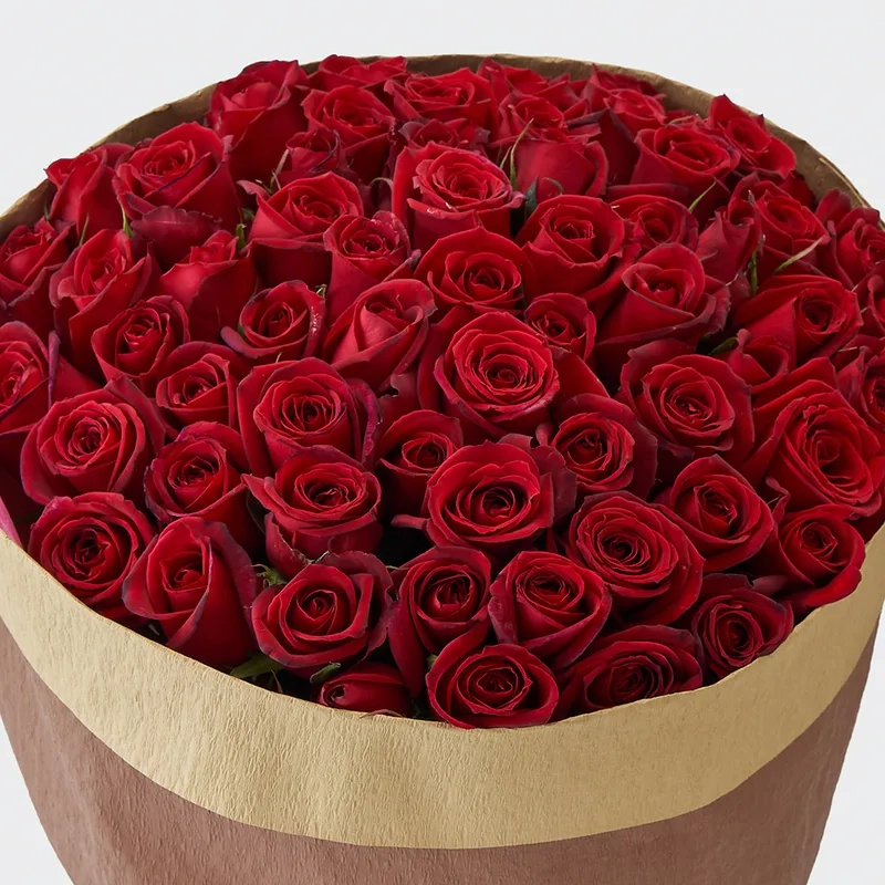 Thưởng thức hoa hồng đỏ đẹp nhất mọi thời đại