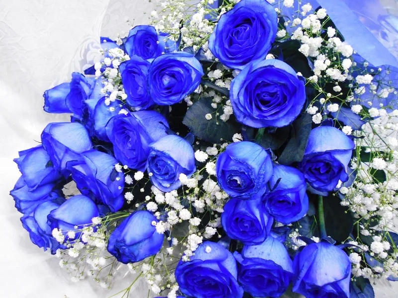 Chọn lựa sang trọng từ hoa hồng xanh nhập khẩu