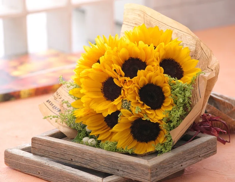 Tươi lâu và rạng rỡ nhờ hoa hướng dương tươi lâu