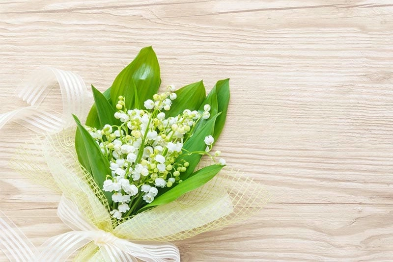 Ý nghĩa hoa linh lan mang nét dịu dàng thuần khiết