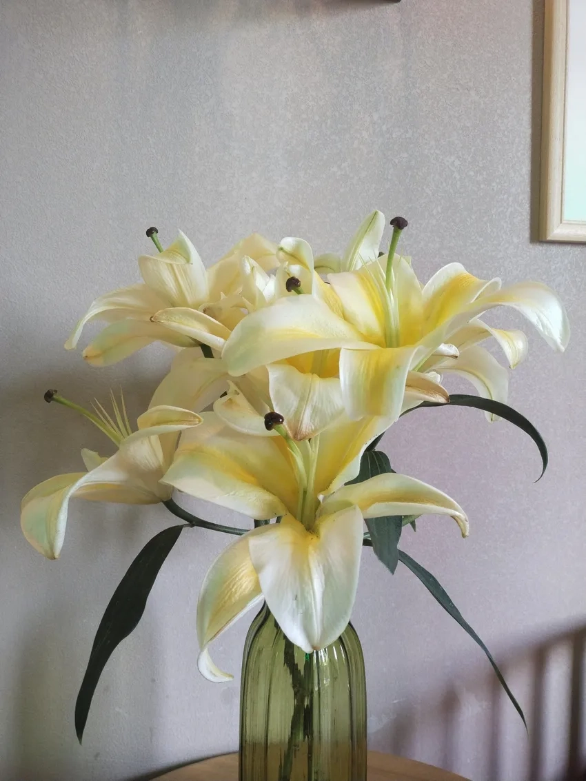 Hoa ly vàng rực rỡ mang niềm vui và hạnh phúc