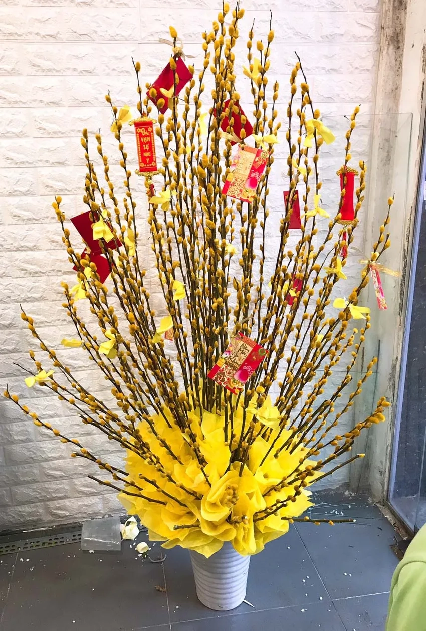 Hoa Nụ Tầm Xuân hồng ngọt ngào chưng tết tại nhà