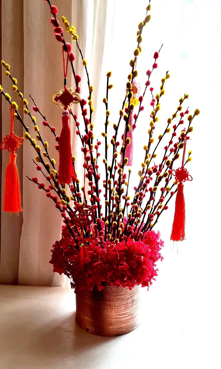 Hoa Nụ Tầm Xuân bonsai tinh tế, làm quà ý nghĩa