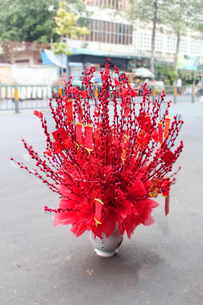 Ngắm vẻ Hoa Nụ Tầm Xuân đẹp rực rỡ mùa tết