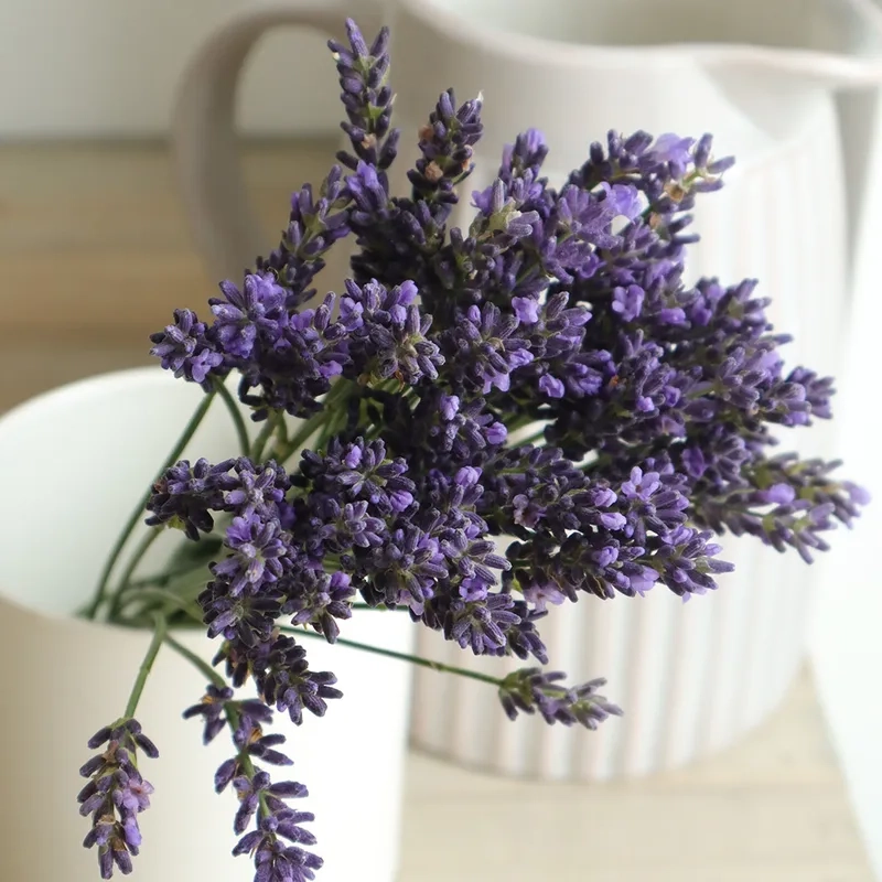 Nghệ thuật tinh tế trong hoa oải hương nghệ thuật