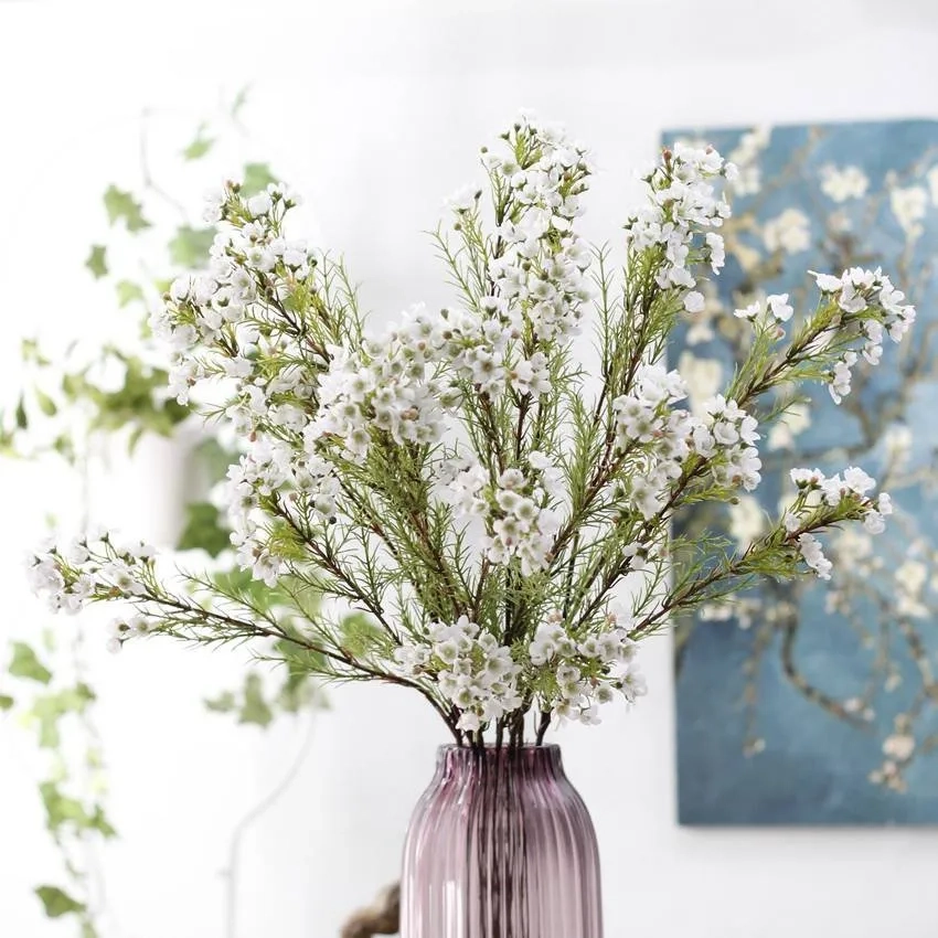 Trồng cây thanh liễu chậu trang trí nhà đẹp