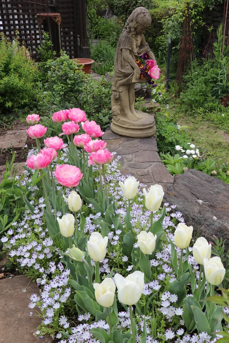 Tạo khoảnh khắc lãng mạn với hoa tulip lãng mạn