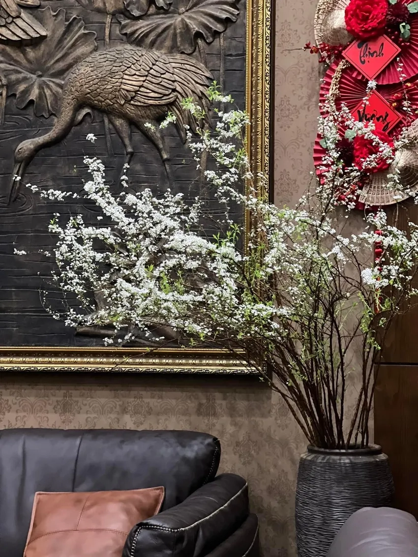 Khám phá tuyết mai là hoa gì và vẻ đẹp đặc trưng