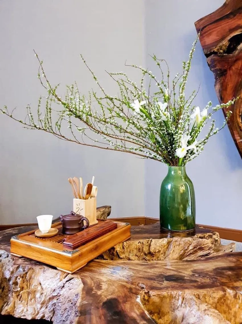 Đặc điểm hoa tuyết mai trắng, cánh mỏng tinh tế