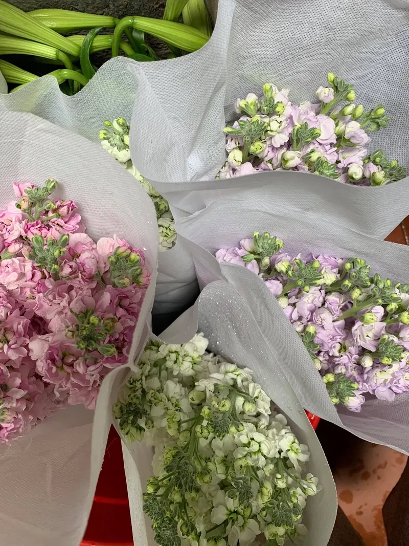 Phong cách thanh lịch khi cắm hoa phi yến trong nhà