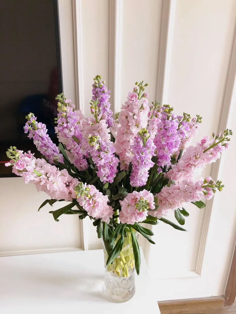 Không gian sáng hơn với bình hoa phi yến trang nhã