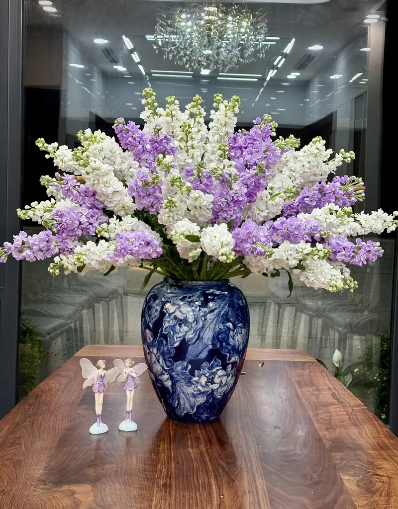 Giải đáp nhanh hoa phi yến bao nhiêu tiền