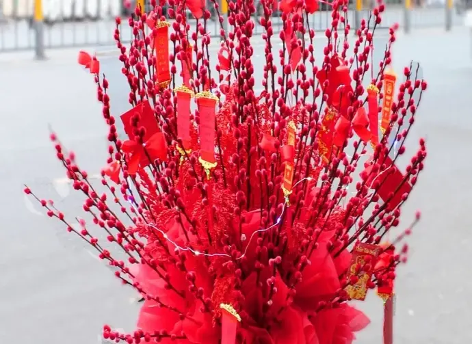 Chiêm ngưỡng ảnh Hoa Nụ Tầm Xuân tuyệt đẹp và sống động