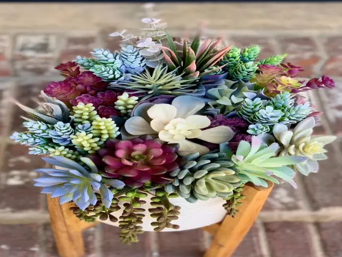 Bộ sưu tập hoa Sen Đá độc đáo cho người yêu thiên nhiên