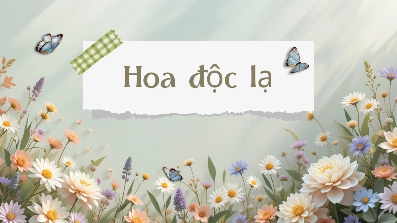 Vẻ đẹp kỳ dị của thiên nhiên hoang dã